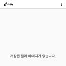 캐일리