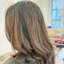 메이에르 이미지