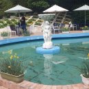 유수정행정사사무소 이미지