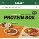 샐러디보령