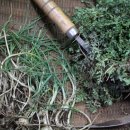 자연과 하루 이미지