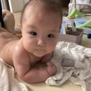 엘로디스튜디오