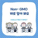 논지엠오 바로 알아봐요(Tooning) 이미지