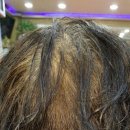 레아헤어 이미지