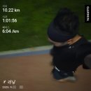 265 | 러닝시계추천 가민 포러너 265 한달 후기 내돈내산