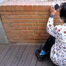 이태원1주민센터 이미지