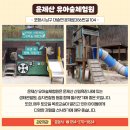 송도 솔밭 유아숲체험원 이미지