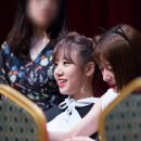 Pink UP 카카오 검색결과