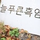 고향흑염소 이미지