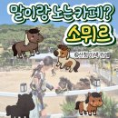 태평목장 | 🐴 산청 이색카페 소뮈르 후기 | 아이와 함께 즐기는 힐링 체험, 주말여행 필수 코스