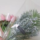 로지데이스튜디오