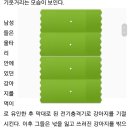 &#39;전기충격기&#39;로 반려견 기절시켜 납치하는 개도둑 이미지