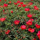 바우길 16구간 이미지