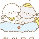 하이랑 애견유치원 이미지