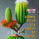 ★ 친구여 이렇게 사세 ★ 이미지