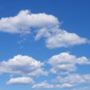 태성씨앤씨 이미지