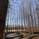 프라자여관 | 강화도 1박2일 대형견 동반 동막여관 대형견동반 메타포레스트 카페 김포 도매까 동대문 신설동 쌍둥이...