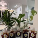 강서구-27 | 강서구 인서울27cc 첫라운딩 후기, 라운딩 준비물