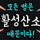 새우일 산소 이미지