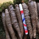 고씨네 농장 이미지