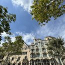 주렴요셉 | 스페인 가우디 투어 해설 / 까사바뜨요, 까사밀라, 사그라다파밀리아, 구엘공원 투어 순서 / 관람후기