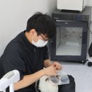 고양이 미용실 냥냥박사 이미지