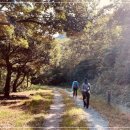 두륜산도립공원 명품 이미지