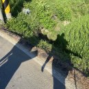 신원2리 마을회관 이미지