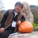 정모농장 이미지