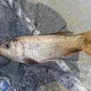 함박골낚시터 이미지