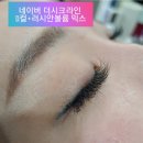 더시크라인 이미지