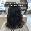 부천시청역 미용실 신중동 젤리펌 히피펌 후기 선경대표원장님 르비아 헤어 부천점