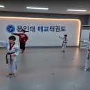 용인대 세심 태권도장 이미지