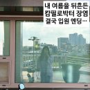 여름 백숙 먹고 병원 입원까지?! 장염 증상·예방 꿀팁부터 실화 후기까지