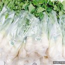 부영농장3 이미지