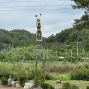 영천 귀애정 이미지