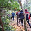 진도군청 이미지