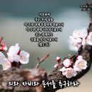 PICTURE&TEXT_20240303_하박국 3장 2b절_의와 자비와 용서를 추구하라_사순절 세 번째 주일 묵상_매화_꽃말_'충실', 이미지