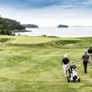 파인비치골프링크스 이미지