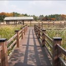 갈대습지공원 이미지