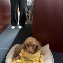 삼인목장 이미지