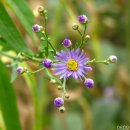 동산자연어린이집 이미지