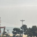 챠크라 | [해운대 챠크라] 인도 음식 후기