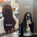 둔산로137번길 | 둔산동 미용실 염색 붉은끼없는 매트브라운 살롱드헤브론 둔산시청점 내돈내산 솔직후기