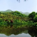 광릉금리원