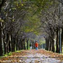 소백산한우촌 | 영주시 여행 가이드 (먹거리, 볼거리, 총평)