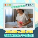 자궁선근증 vs 자궁내막증 차이 정리 + 루프린디피에스 주사 부작용 경험