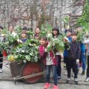 중원초등학교 이미지