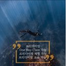 한여름의프리다이빙