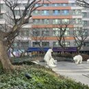 쏘스윗펫살롱 이미지